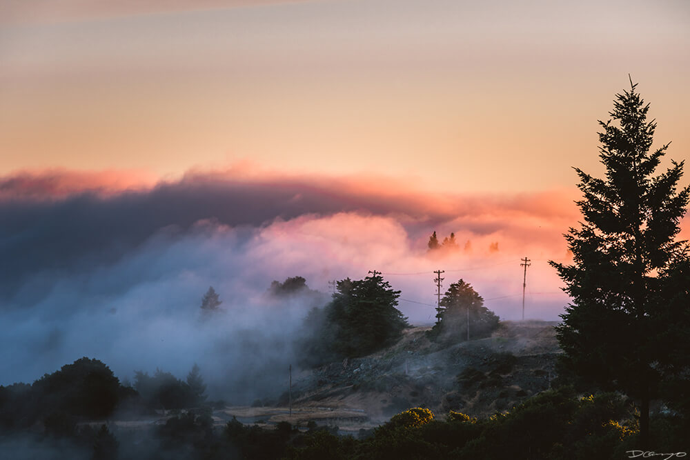 Bright orange and pink sunset with fog rolling over Mount Tam, CA