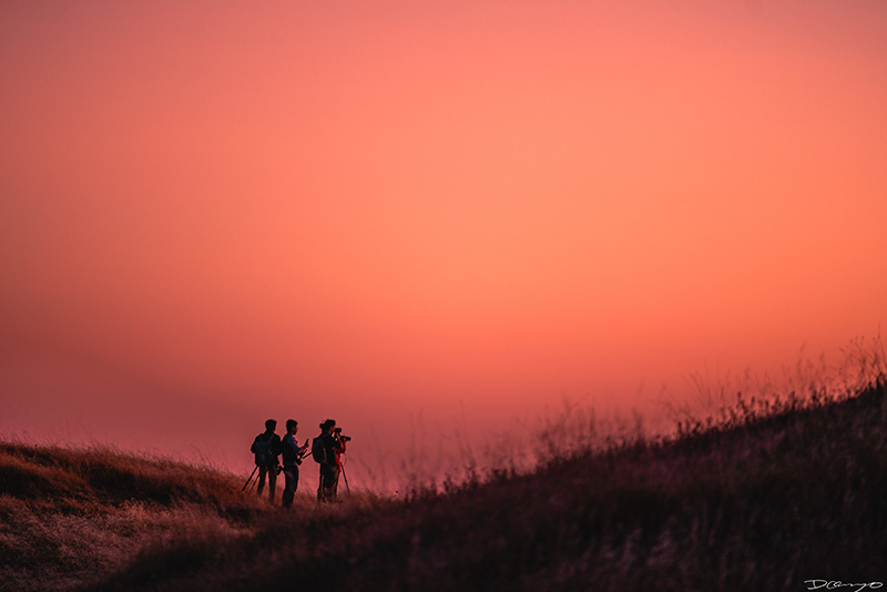 Several photographers are silhouetted by an orange pink sunset while standing on a ridge on Mt Tamalpais, CA.