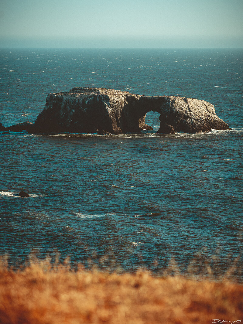 Large picturesque rock with keyhole formation at Goat Rock Beach, CA.