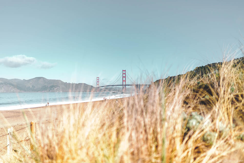 Golden Gate Bridge through Baker Beach Grass, CA