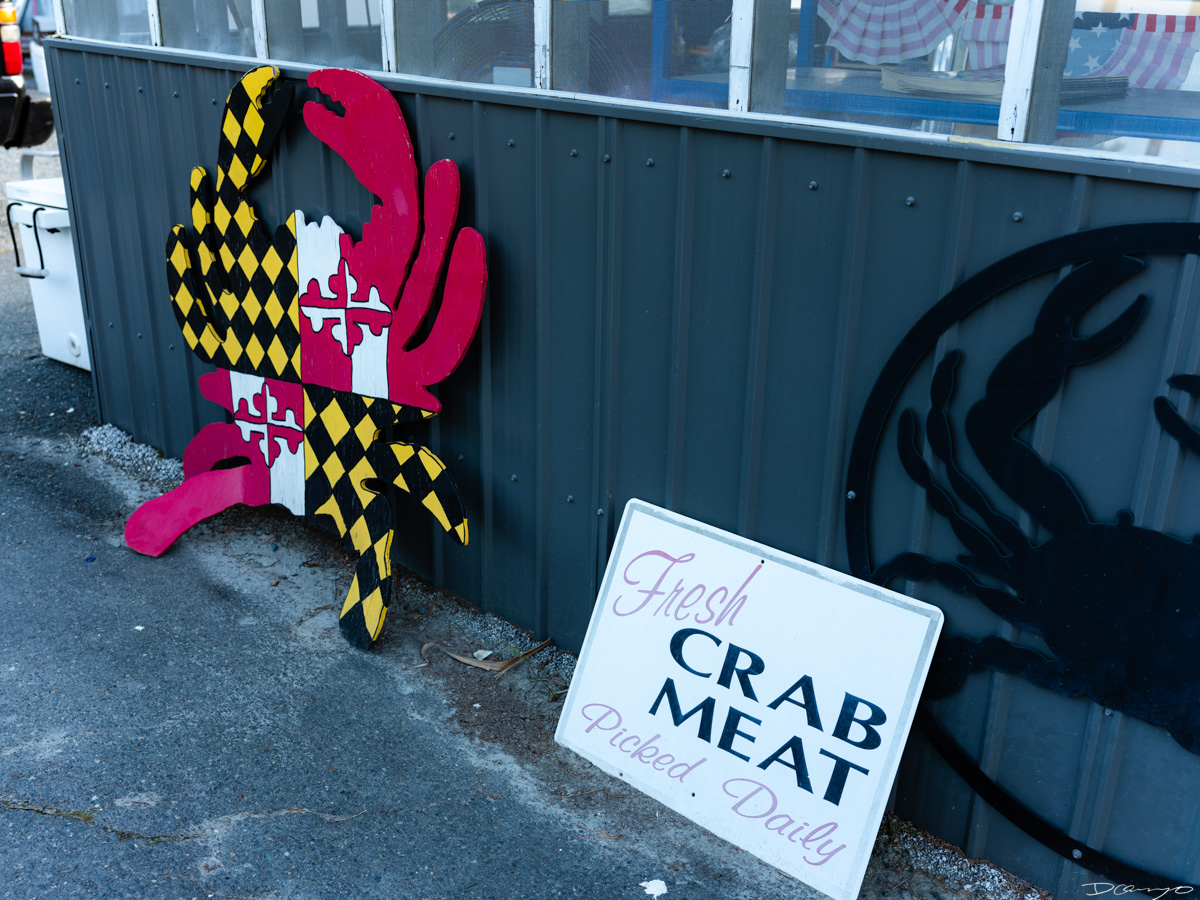 Photos from Gay's Seafood in Easton, Maryland.