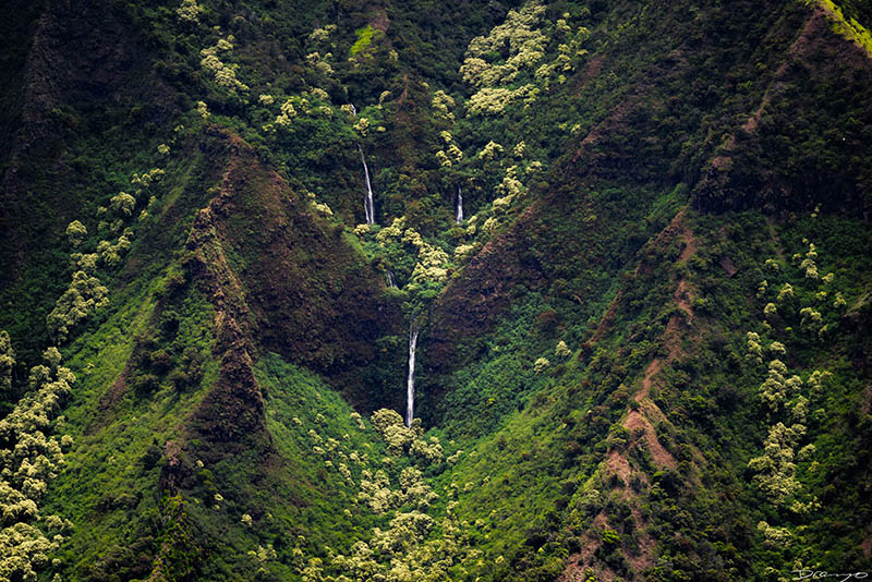 Photos from Kauai, Hawaii in June of 2021. Photos of Waimea Canyon, Waimea Plantation, Snorkeling at Hideaway Beach, Red Dirt Waterfall, Kalepa Trail, Napali (Na Pali) Coast, Jack Harter Helicopter Tours, Kalalau Trail.