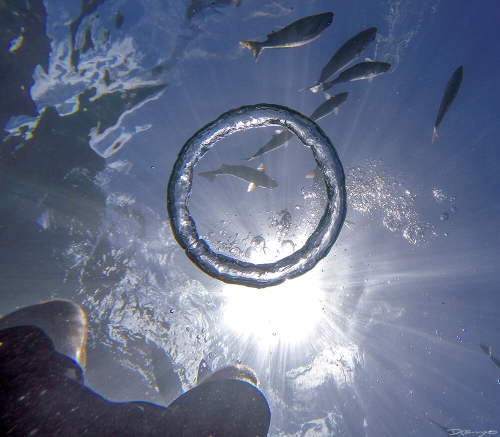 Bubble Ring While Snorkeling Off the Na'pali Coast, HI