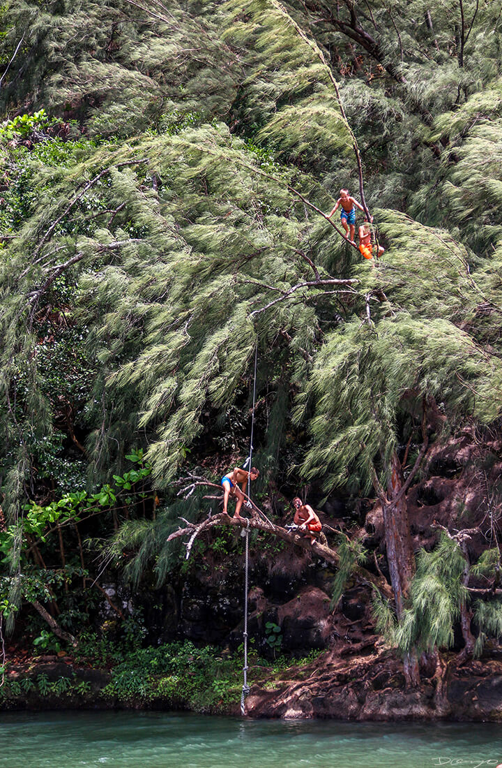 Kids Tree Jumping into River on Maui, HI