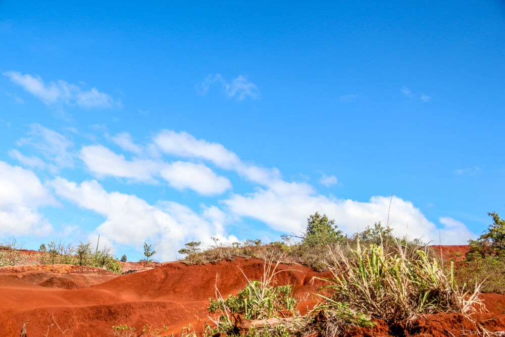 Red clay dirt near Waimea Canyon, Hawaii